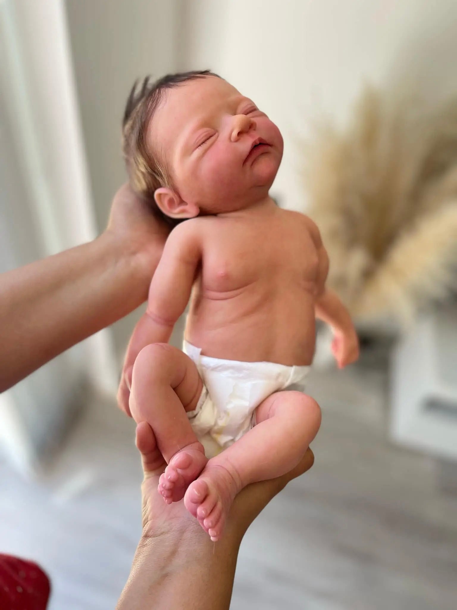 Bambola Reborn realistica Holly (femmina) 12cm / 16cm / 25cm / 30cm + Pacchetto Premium